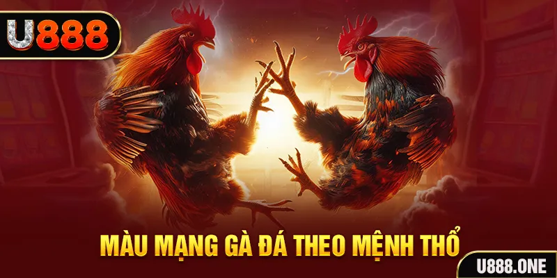 Màu mạng gà đá theo Mệnh Thổ